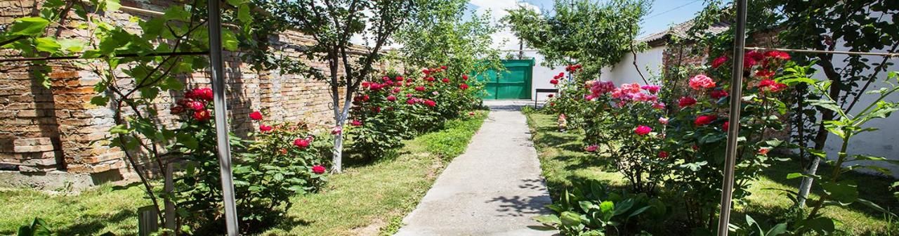 Гостевой дом  Sabina Феодосия-48